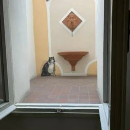 Whouse Porta Di Castello